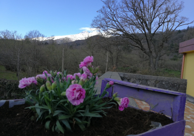 Agriturismo Dimora storica Viola Nel Parco